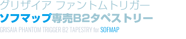 ソフマップ専売タペストリー